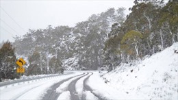 Tuyết rơi mùa Hè ở Australia